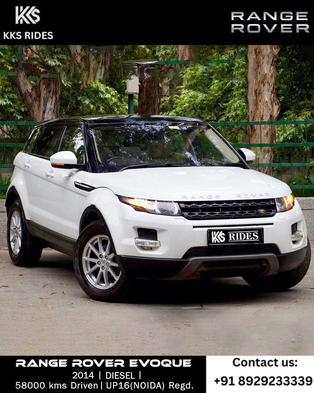 WhatsApp Image 2025-12-20 at 1.45.47 PM