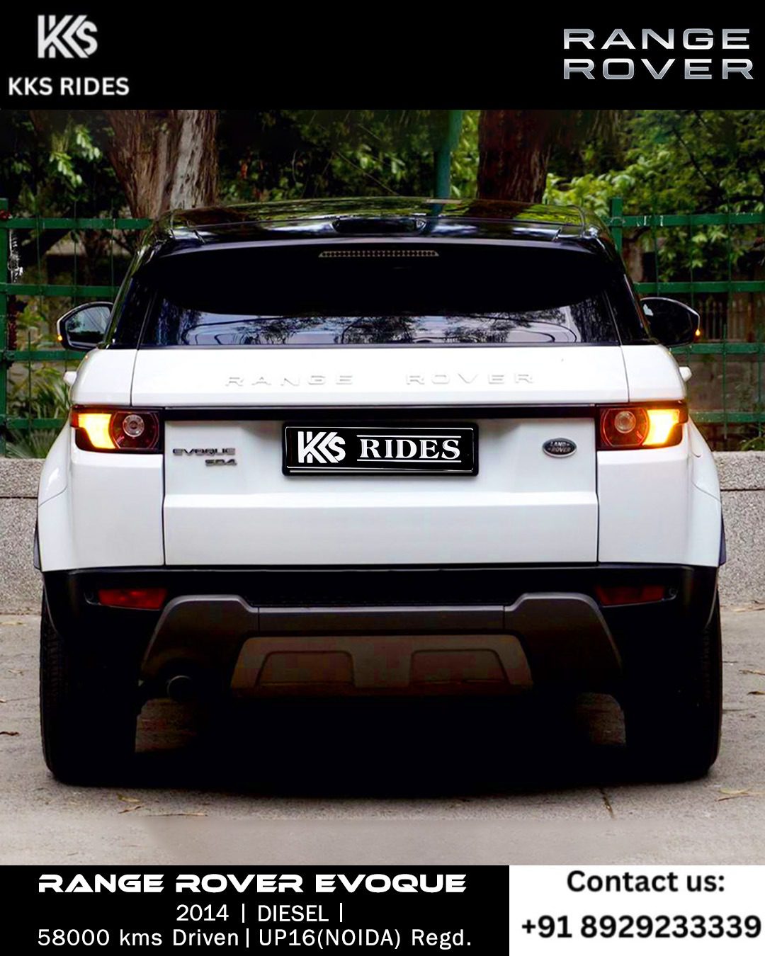 WhatsApp Image 2025-12-20 at 1.45.49 PM (2)