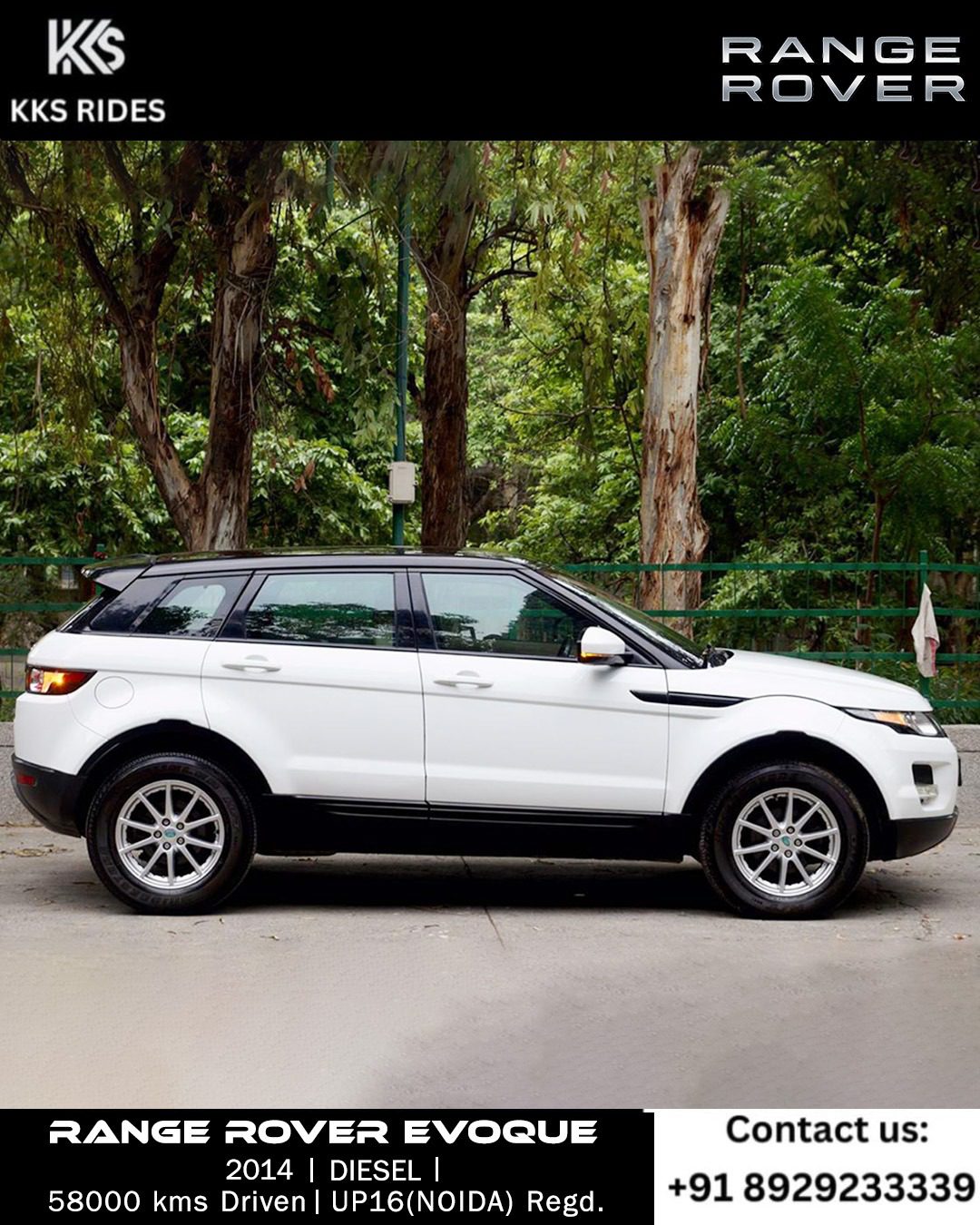 WhatsApp Image 2025-12-20 at 1.45.49 PM