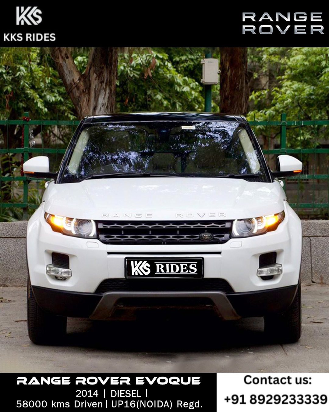 WhatsApp Image 2025-12-20 at 1.45.50 PM (1)