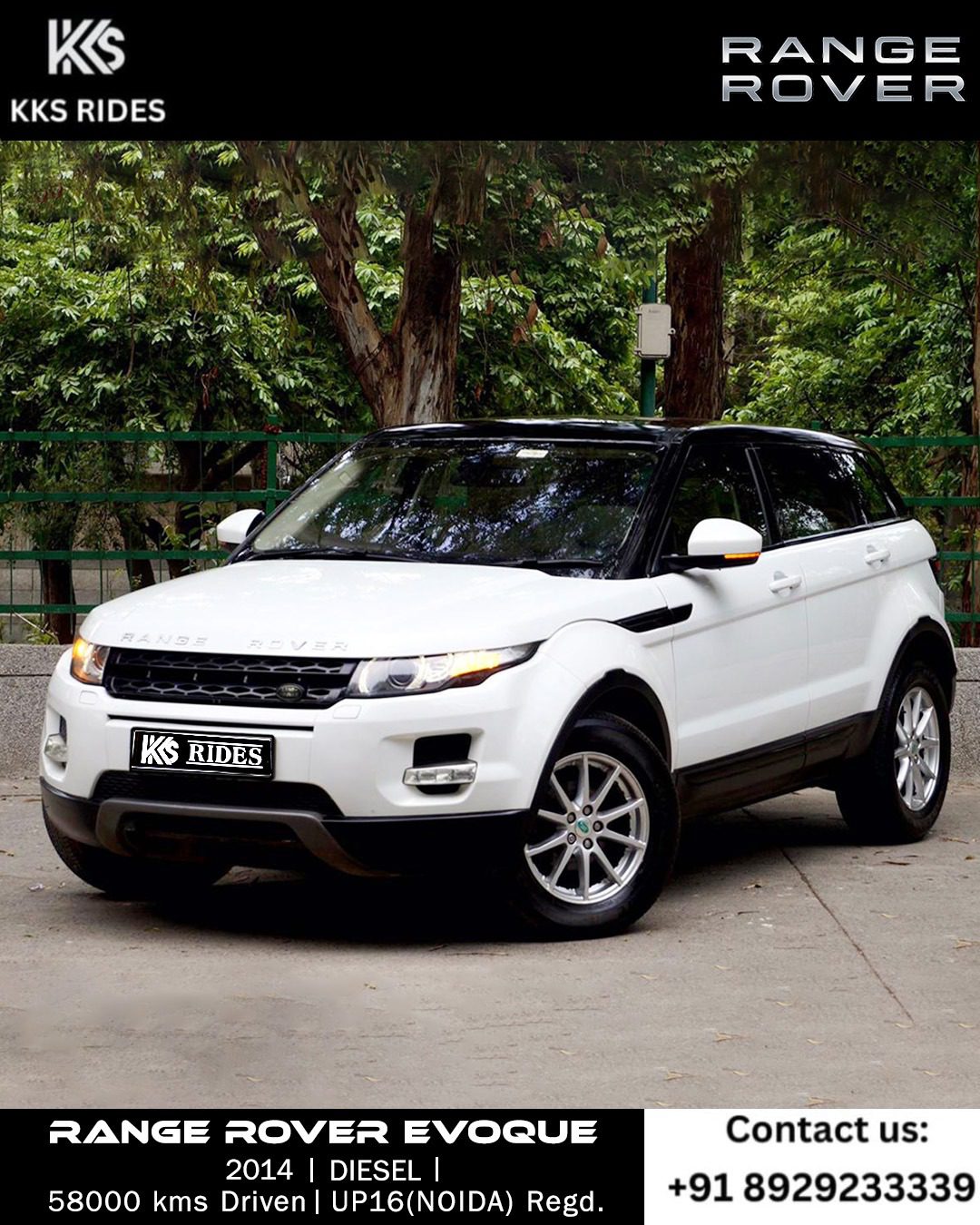 WhatsApp Image 2025-12-20 at 1.45.50 PM