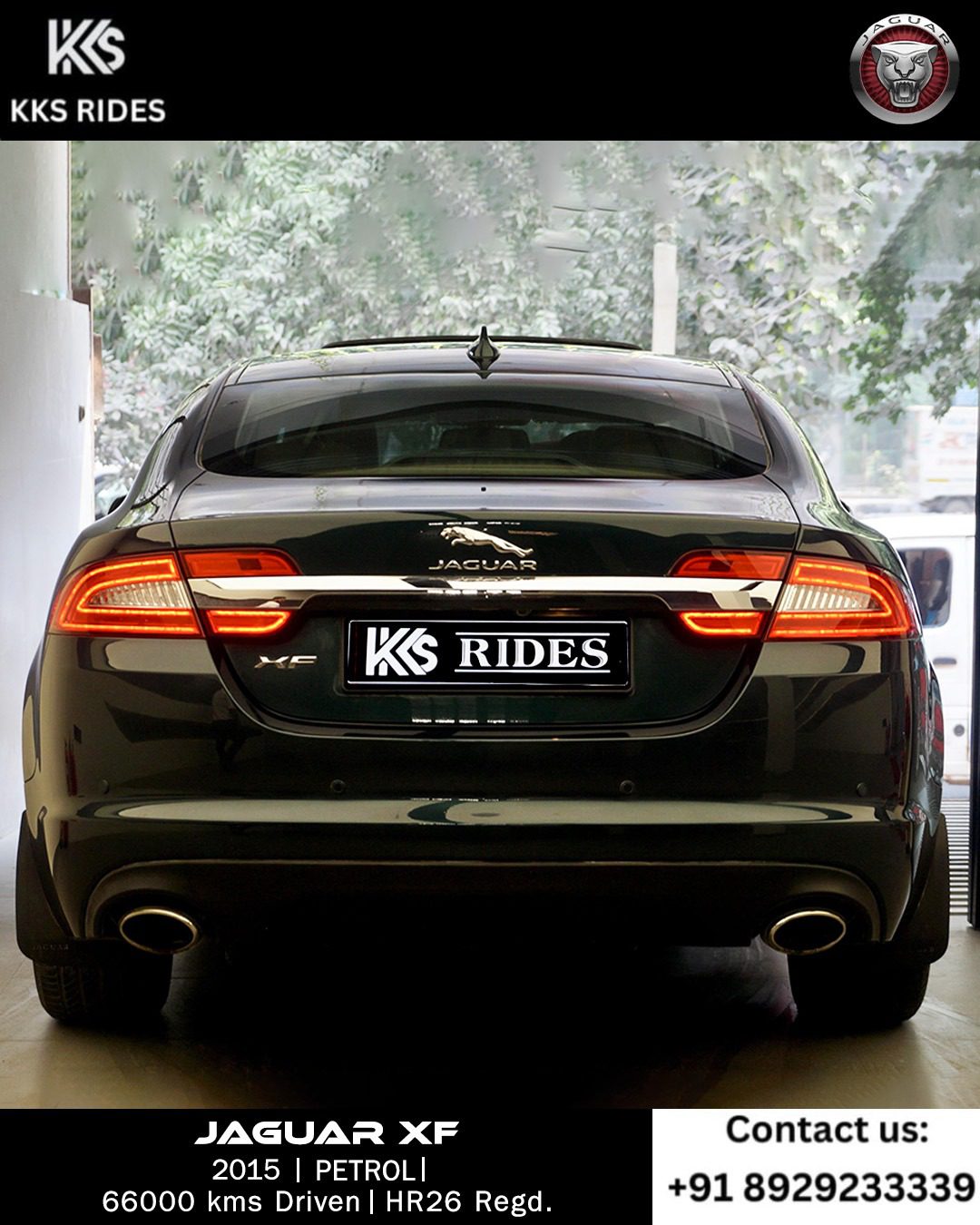 WhatsApp Image 2025-12-20 at 11.37.03 AM (1)