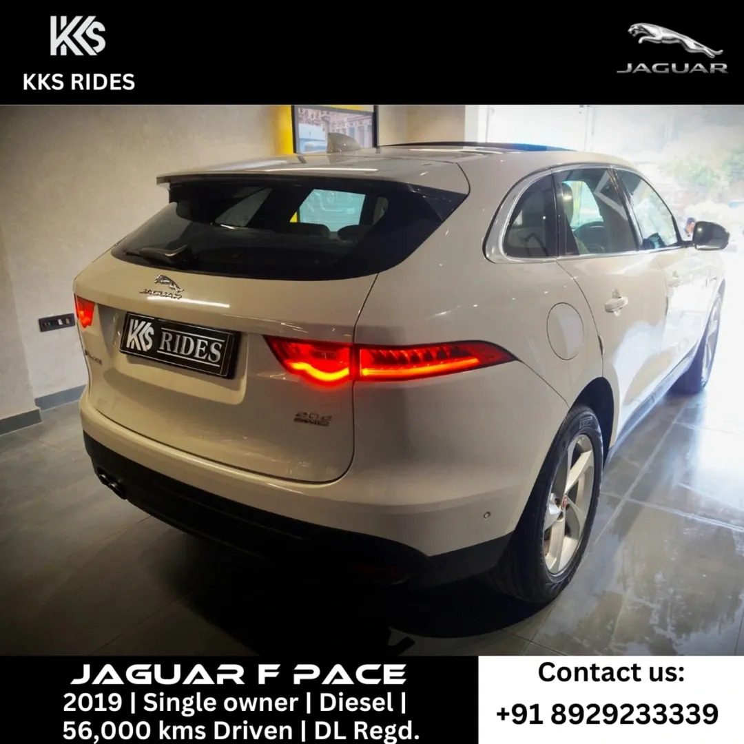 WhatsApp Image 2025-12-20 at 11.49.27 AM