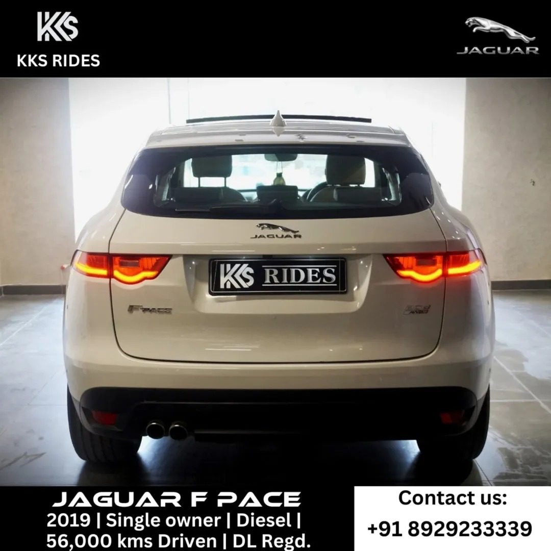 WhatsApp Image 2025-12-20 at 11.49.28 AM