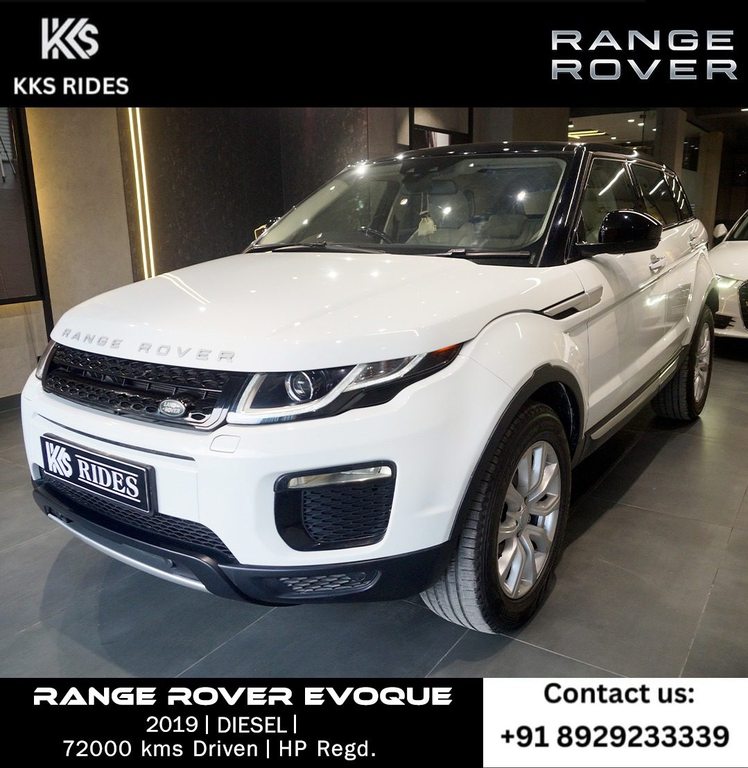 WhatsApp Image 2025-12-20 at 12.46.31 PM