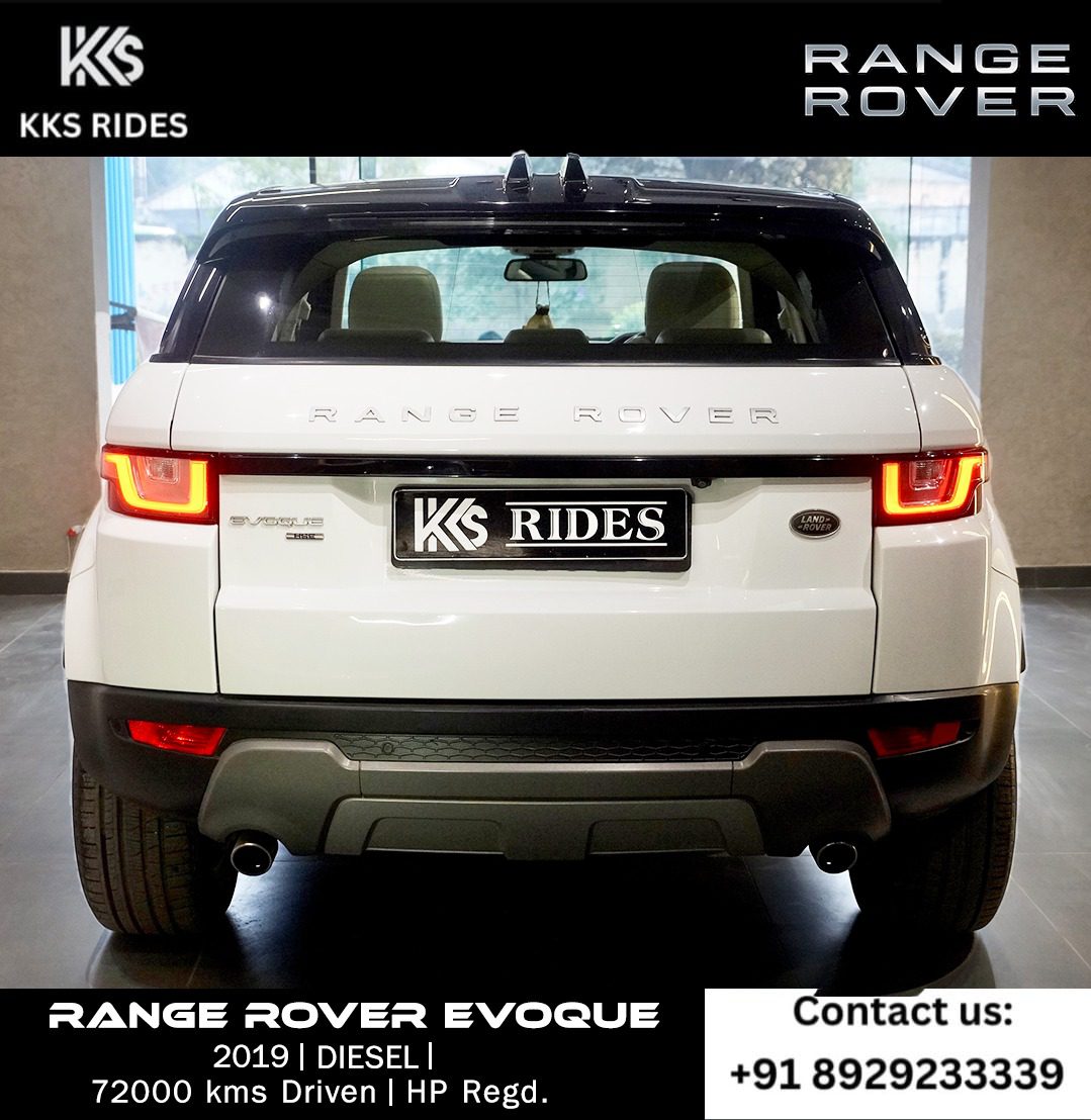 WhatsApp Image 2025-12-20 at 12.46.32 PM (1)