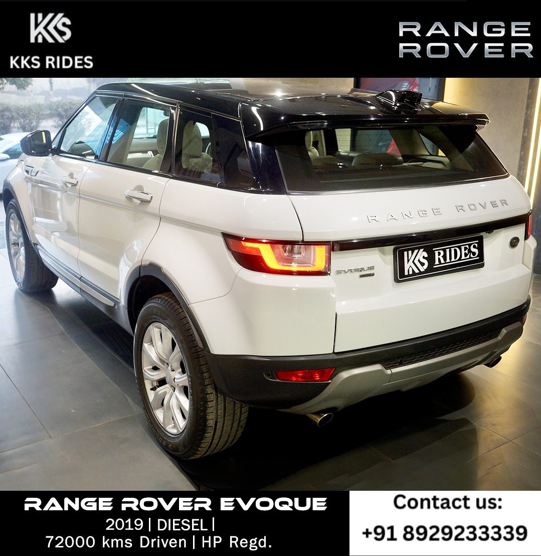 WhatsApp Image 2025-12-20 at 12.46.32 PM (2)