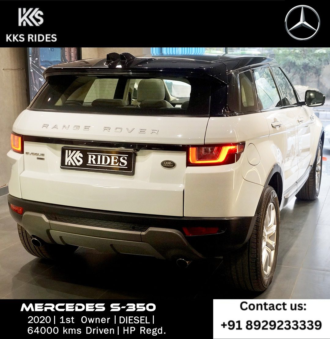 WhatsApp Image 2025-12-20 at 12.46.33 PM (1)