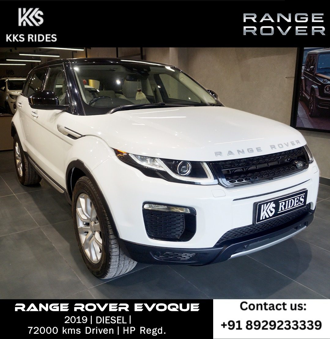 WhatsApp Image 2025-12-20 at 12.46.33 PM (2)