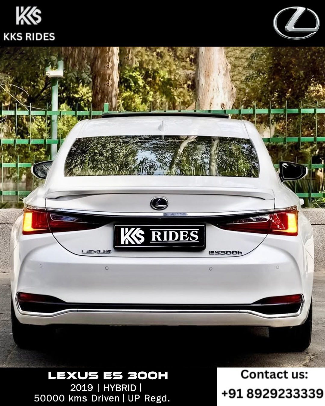 WhatsApp Image 2025-12-20 at 12.54.05 PM (2)