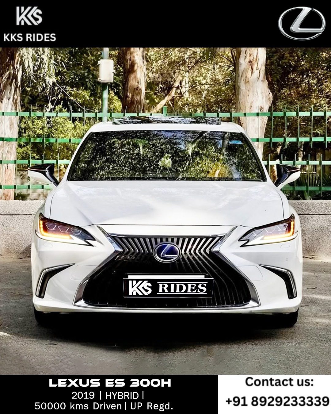 WhatsApp Image 2025-12-20 at 12.54.06 PM (1)