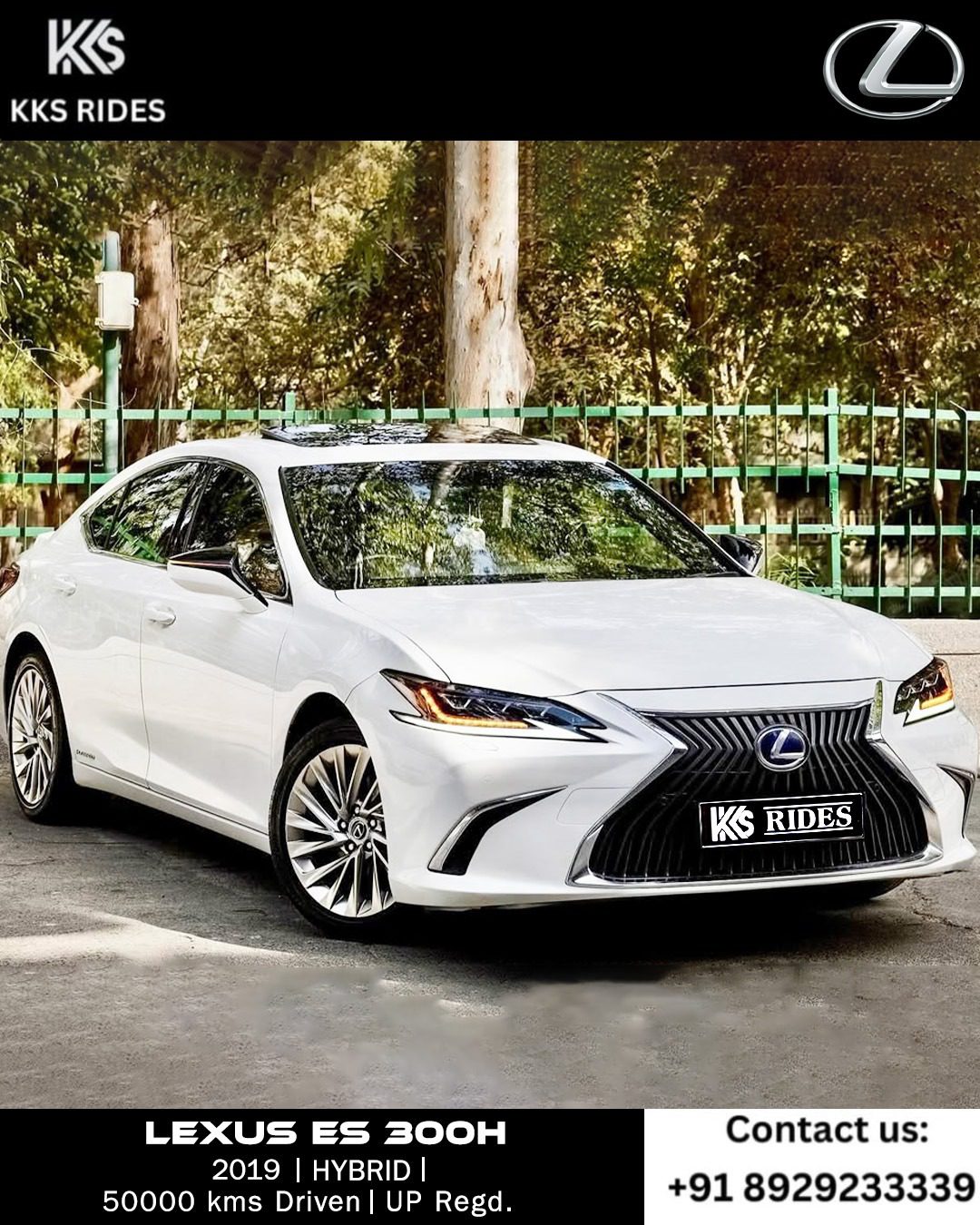 WhatsApp Image 2025-12-20 at 12.54.06 PM