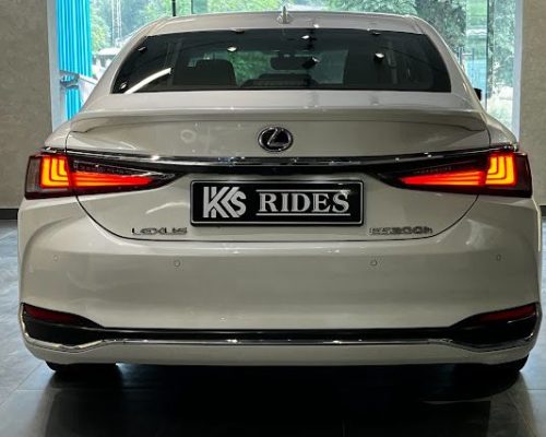 WhatsApp Image 2025-05-28 at 10.56.09 AM (1)