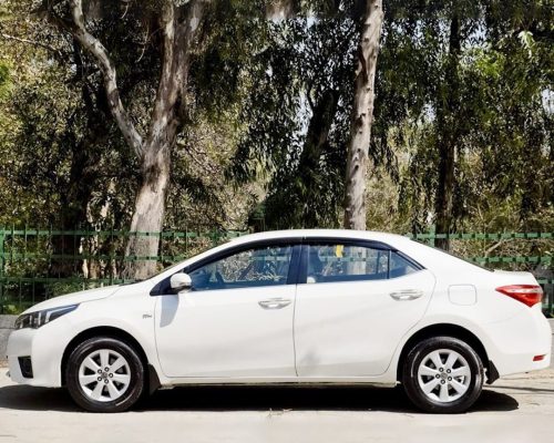 WhatsApp Image 2025-12-19 at 5.24.47 PM (1)