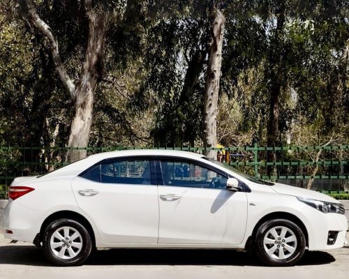 WhatsApp Image 2025-12-19 at 5.24.47 PM