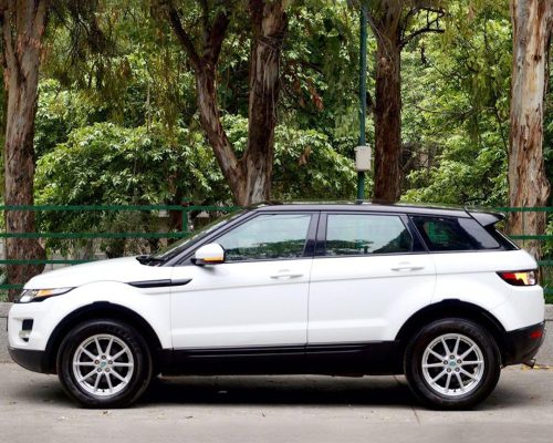 WhatsApp Image 2025-12-20 at 1.45.49 PM (1)