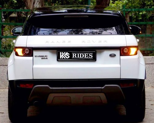 WhatsApp Image 2025-12-20 at 1.45.49 PM (2)