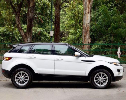 WhatsApp Image 2025-12-20 at 1.45.49 PM