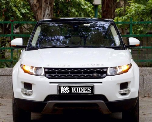 WhatsApp Image 2025-12-20 at 1.45.50 PM (1)