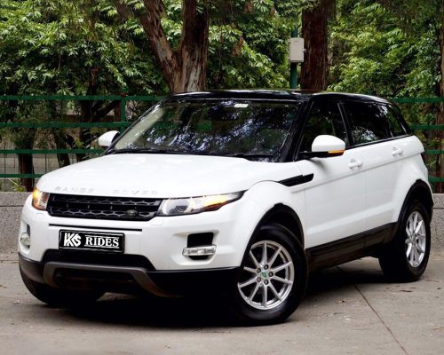 WhatsApp Image 2025-12-20 at 1.45.50 PM