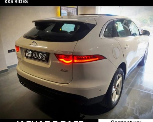 WhatsApp Image 2025-12-20 at 11.49.27 AM