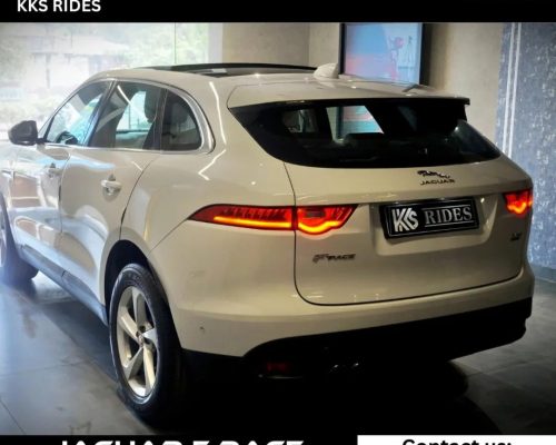 WhatsApp Image 2025-12-20 at 11.49.28 AM (1)