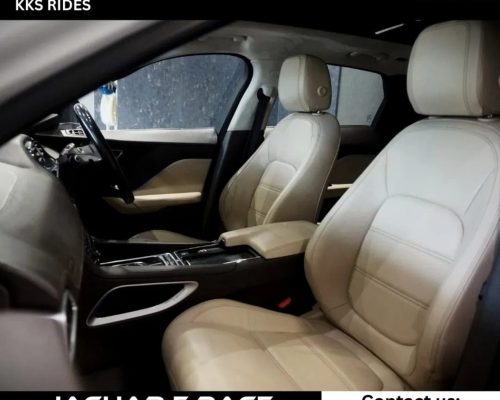 WhatsApp Image 2025-12-20 at 11.49.28 AM (3)