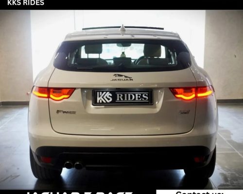 WhatsApp Image 2025-12-20 at 11.49.28 AM