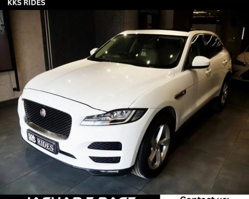 WhatsApp Image 2025-12-20 at 11.49.29 AM (1)