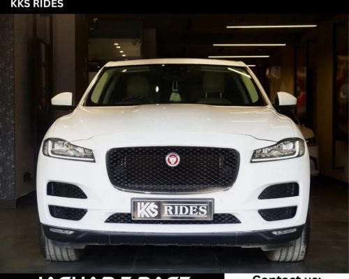 WhatsApp Image 2025-12-20 at 11.49.30 AM