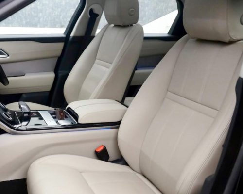 WhatsApp Image 2025-12-20 at 12.36.15 PM (1)