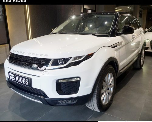 WhatsApp Image 2025-12-20 at 12.46.31 PM