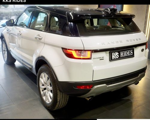 WhatsApp Image 2025-12-20 at 12.46.32 PM (2)