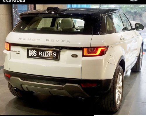 WhatsApp Image 2025-12-20 at 12.46.33 PM (1)