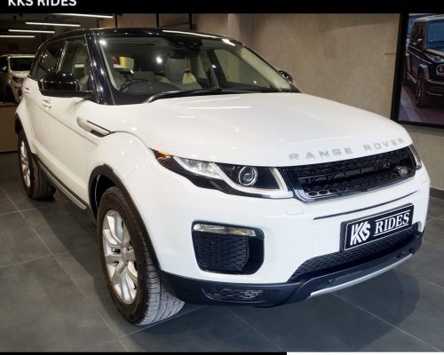 WhatsApp Image 2025-12-20 at 12.46.33 PM (2)