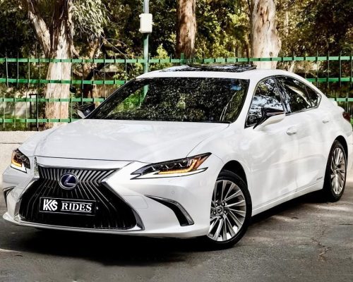 WhatsApp Image 2025-12-20 at 12.54.04 PM