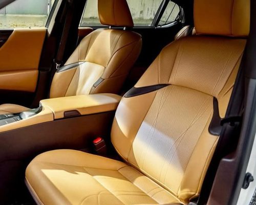 WhatsApp Image 2025-12-20 at 12.54.05 PM (1)