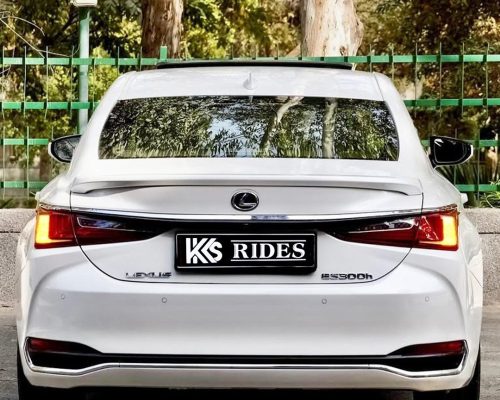 WhatsApp Image 2025-12-20 at 12.54.05 PM (2)