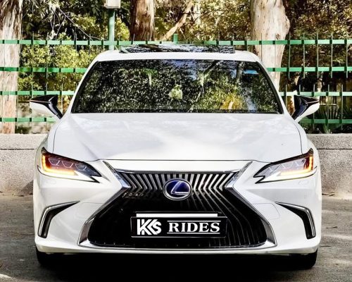 WhatsApp Image 2025-12-20 at 12.54.06 PM (1)